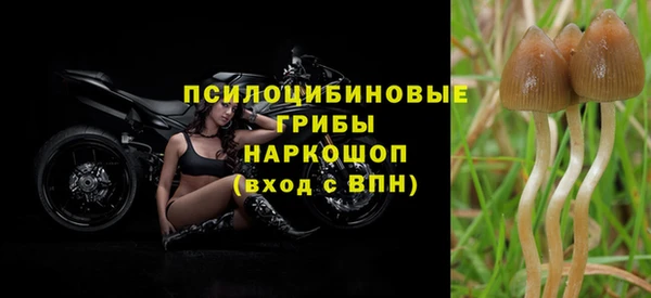 тгк Зерноград