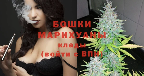индика Магас