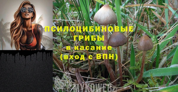 тгк Зерноград